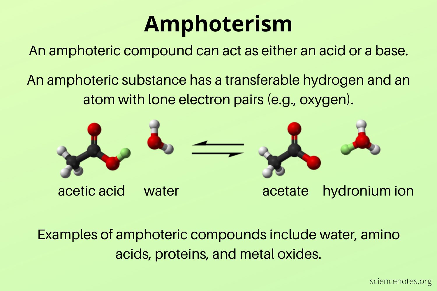 <p>Amino acids are amphoteric (a compound able to react both a base and acid) because they contain both a basic amino group and an acidic carboxyl group, allowing them to act as an acid and base. This dual nature allows them to exist as zwitterions, which are dipolar ions that are electrically neutral.</p>
