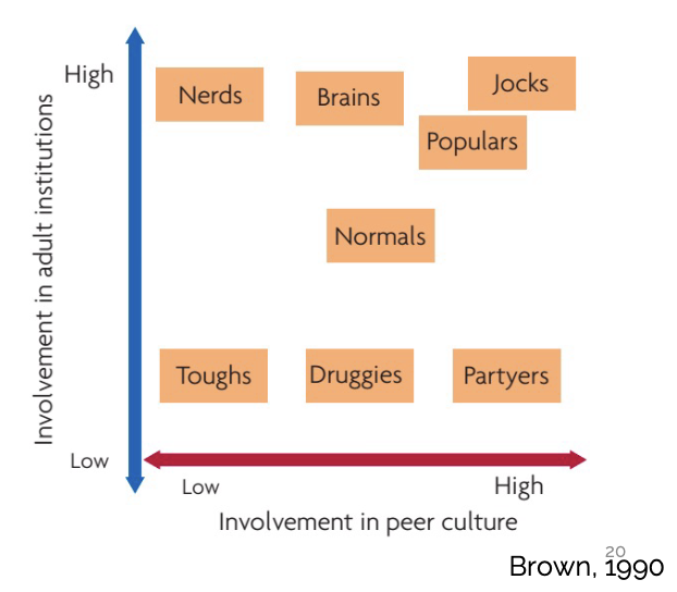 <p>reputation-based groups, less voluntary</p>