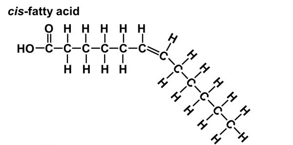 Hydrogen on the same side

* good fat
