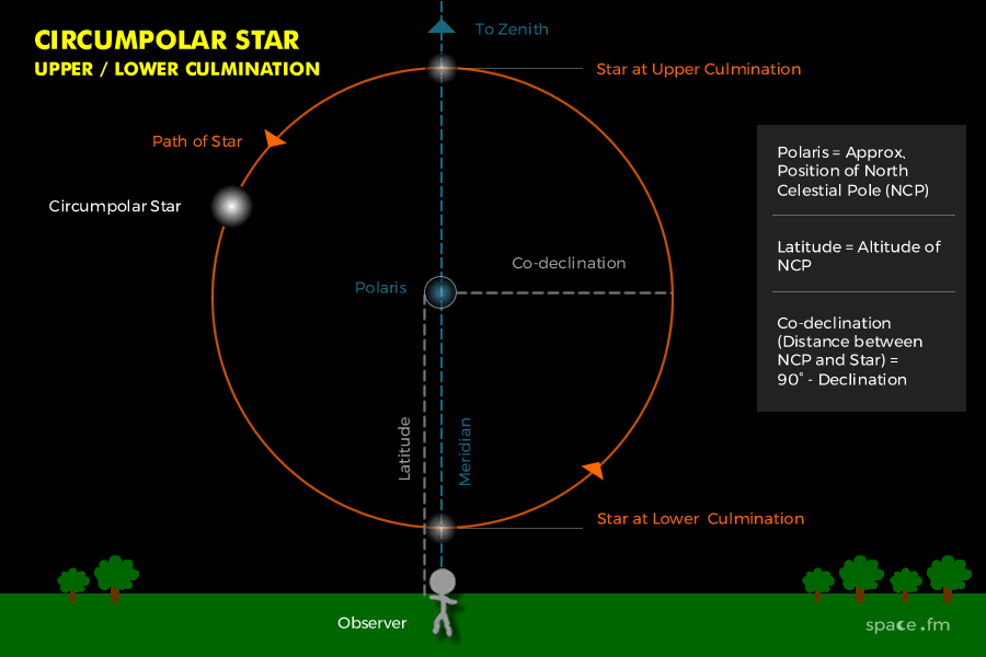 The maximum altitude of a celestial body above the horizon.
