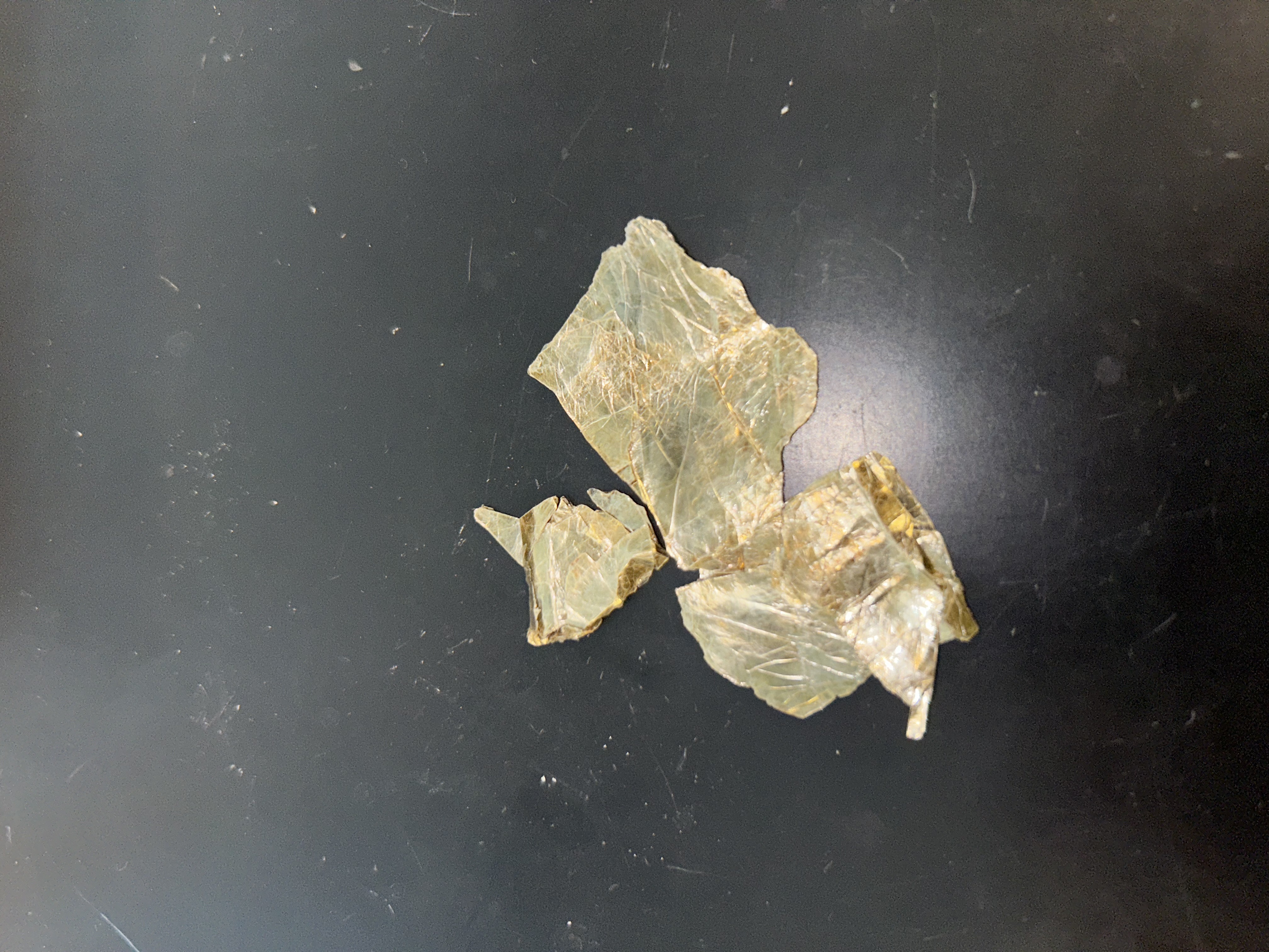 <ol><li><p>flexible, but not elastic</p></li><li><p>﻿﻿﻿forms thin sheets that can easily be separated</p></li><li><p>﻿﻿﻿perfect basal "micaceous" cleavage</p></li><li><p>﻿﻿﻿yellowish-brown color with "copper-like" reflection off of cleavage surface</p></li><li><p>﻿﻿﻿vitreous to pearly-like all micas</p></li><li><p>﻿﻿﻿hardness = 2-2.5; will not scratch glass</p></li></ol><p>the in between of muscovite and biotite</p>