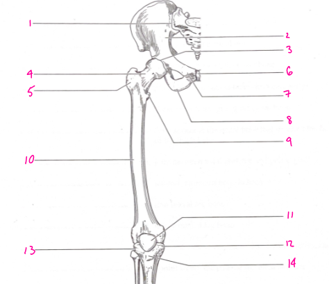 <p>What is number 9?</p>