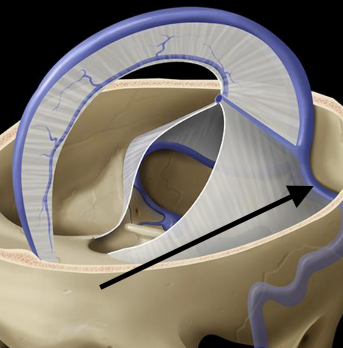 <p>Name the structure</p>