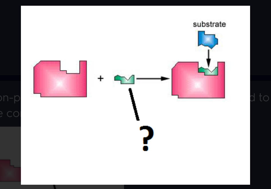 <p>Inorganic metal ion helpers that bind to enzymes to help to assume correct shape (Ex. Zn).</p>