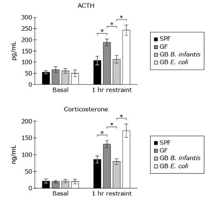 <p>According to <span style="font-size: inherit;">Figure 1, in GB<em> E. coli</em> mice,</span> which type of hormone shows the highest fold increase after 1 h restraint, and how will it circulate in blood?&nbsp;</p><p><strong>A</strong></p><p>The lipid, which will circulate freely</p><p><strong>B</strong></p><p>The lipid, which will circulate bound to a carrier</p><p><strong>C</strong></p><p>The peptide, which will circulate freely</p><p><strong>D</strong></p><p>The peptide, which will circulate bound to a carrier</p>
