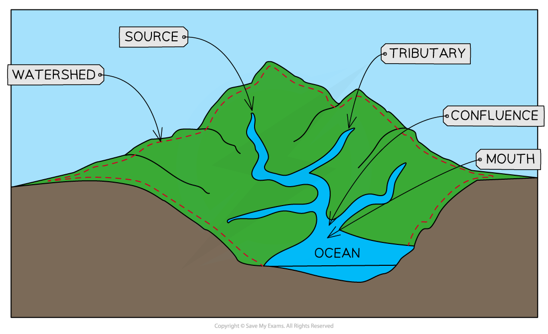 <p>an area of land that is drained by a river and its tributaries. enormous, from small local to major river systems like mississippi, nile and amazon. confluence= point where two rivers join. watershed= boundary between two drainage basins</p>