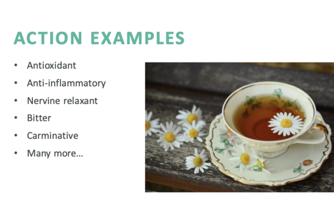 <p>Descriptions of the effects that herbs and their constituents have on the body, often expressed as nouns or adjectives.</p>