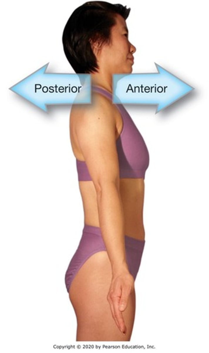 <p>moving away from the midline of the body.</p>