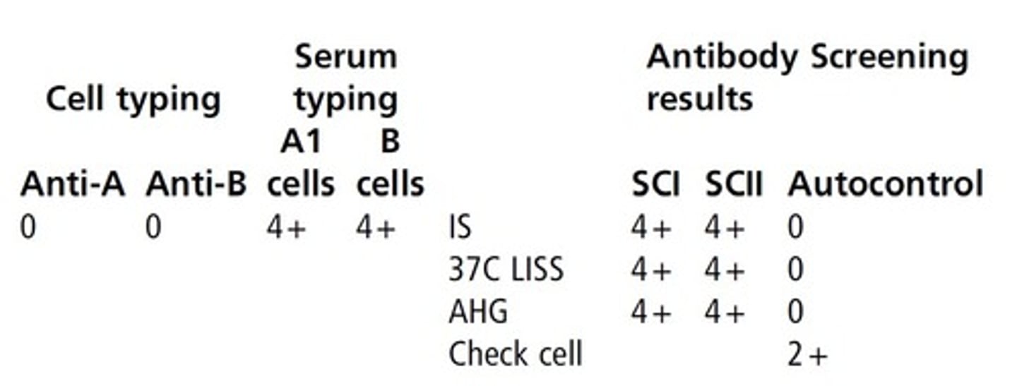 <p>c. Oh phenotype</p>