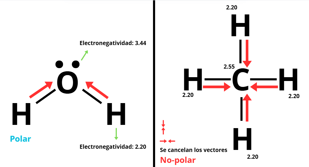 <p>¿Qué es la electronegatividad?</p>