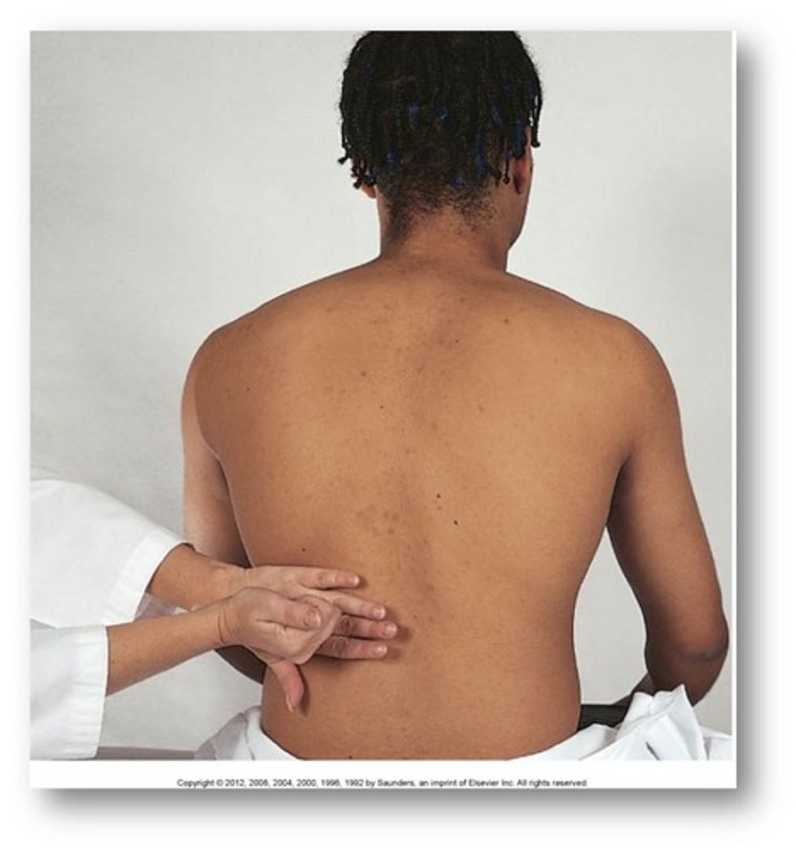 <p>place a hand flat over the costovertebral angel (CVA) on each side of the back and use your other fist to hit your hand to assess for kidney tenderness</p>