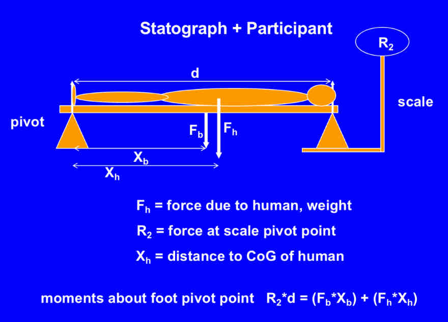 <ol><li><p><strong>Statograph</strong> - device that <strong>sums</strong> the <strong>moments</strong> about an <strong>axis</strong></p></li><li><p><strong>Reaction Board </strong>- device that <strong>sums 2 axis</strong></p></li></ol>