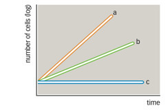 <p><span>In a figure/graph, which line best depicts a psychrotroph incubated at 0°C?</span></p>