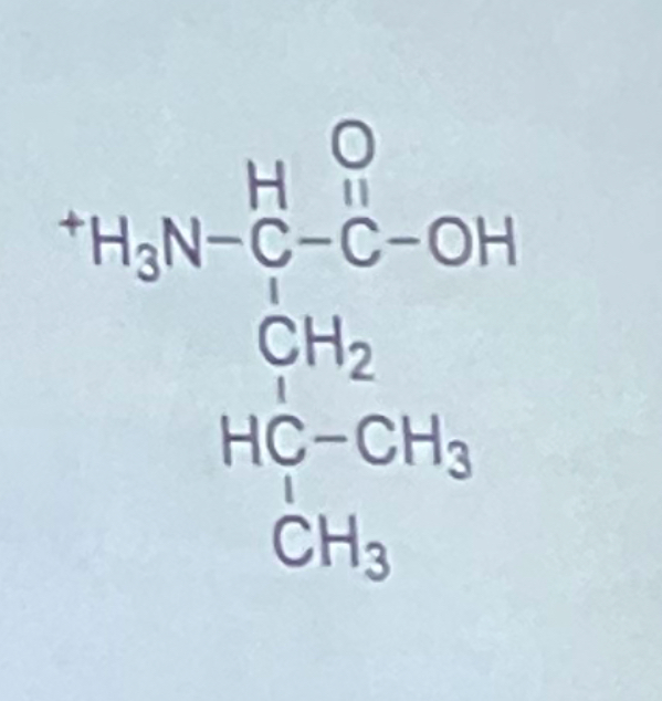 <p>What is the one letter code for the amino acid shown at the right?</p><p>a. I</p><p>b. L</p><p>c. M</p><p>d. Q</p><p>e. V</p>