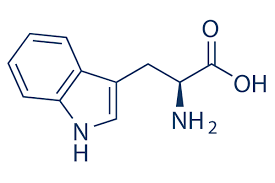 <p>W</p>