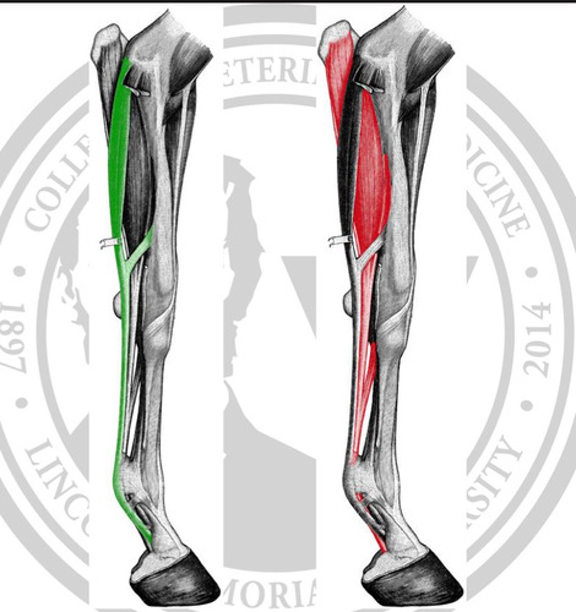 <p>What is highlighted in red?</p>