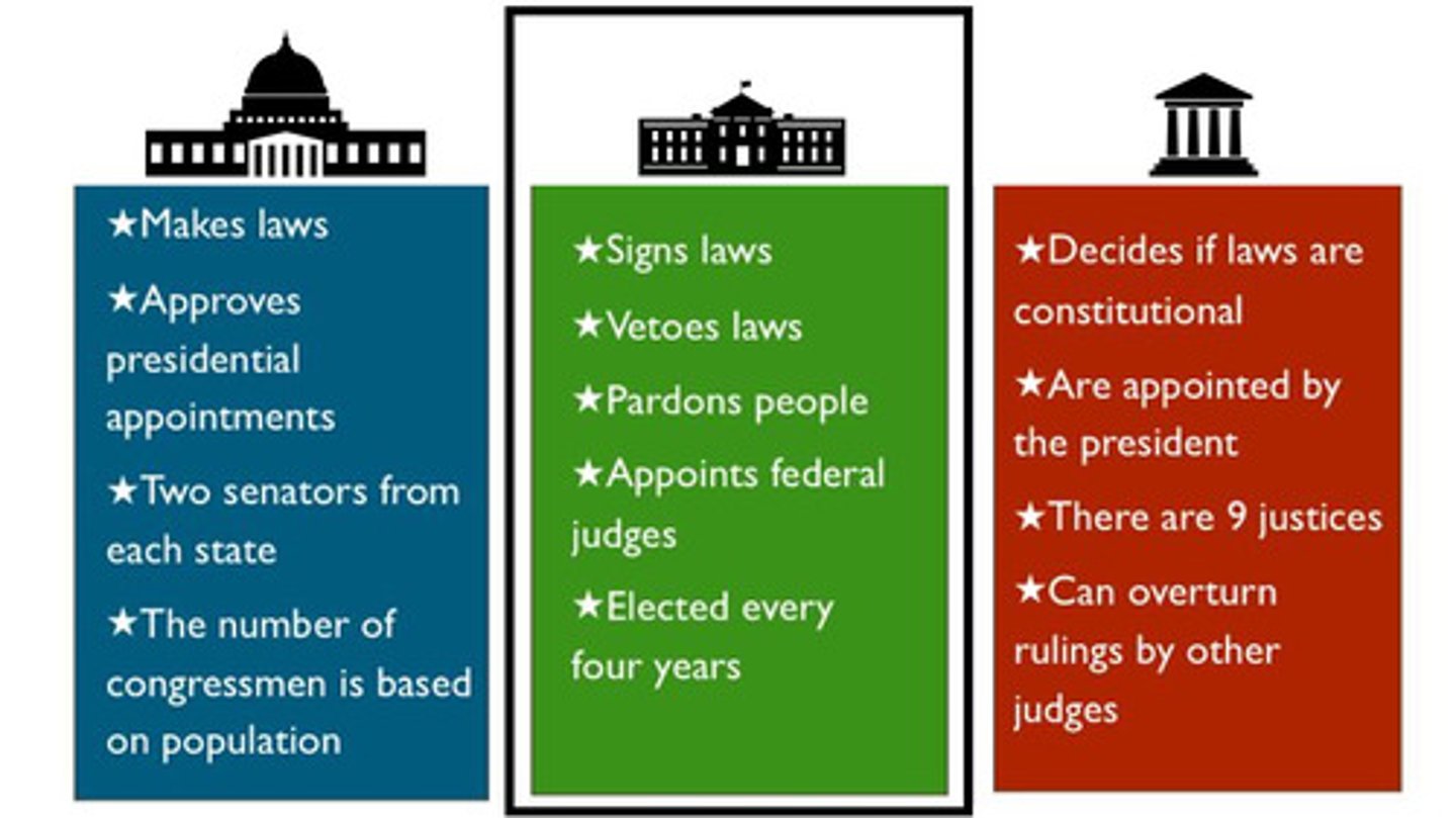 <p>Which branch of government includes the President who has the power to enforce or veto laws?</p>
