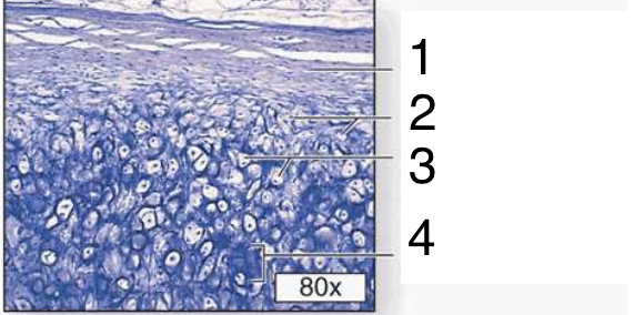 <p>What is #2?</p>