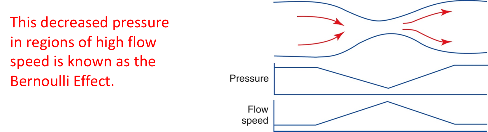 <p>continuity rule equation</p>