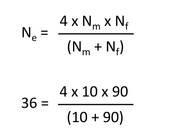 <p><span>Strength of genetic drift is inversely proportional to Ne, smaller Ne results in stronger genetic drift.</span></p><p><span>→All individuals have equal chance of leaving offspring</span></p>