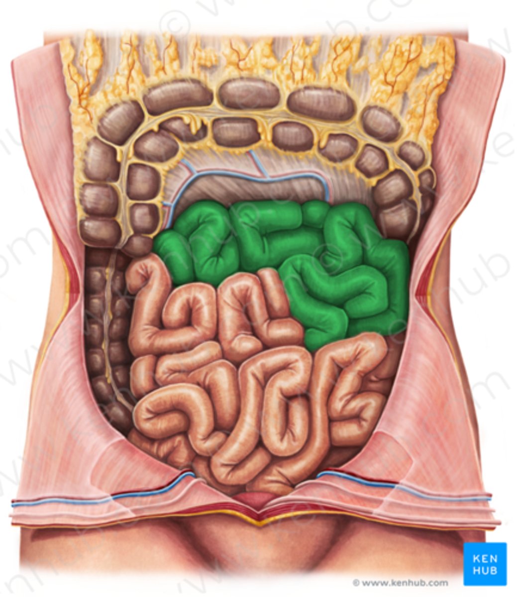 <p>What is this?</p>