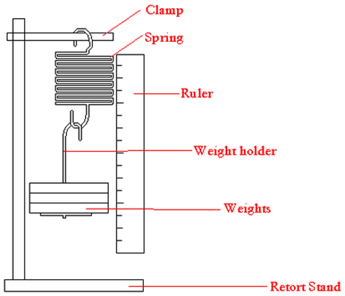 <p>- Clamp a spring onto a stand, such that it is hanging vertically down.</p><p>- Measure the spring's original length.</p><p>- Place a known weight (100g = 1N) on to the end of the spring and measure how far it has extended. A pointer attached to the spring (fiducial marker) can help to reduce parallax errors.</p><p>- Repeat the process by adding one weight at a time and measuring the extended length each time.</p><p>- Calculate the extension for each weight (Extension = extended length - original length)</p><p>- Plot a graph of force against extension</p><p>- Draw a line of best fit. It should be a straight line through the origin. If it is, then the extension is proportional to the applied force, and the spring is said to obey Hooke's law.</p><p>- The Spring Constant can be calculated by dividing the change in Force by the extension.</p>