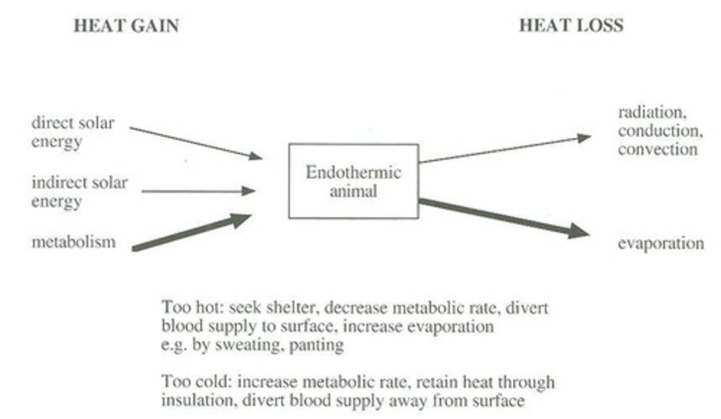 <p>Use heat-dissipating mechanisms like sweating or panting.</p>