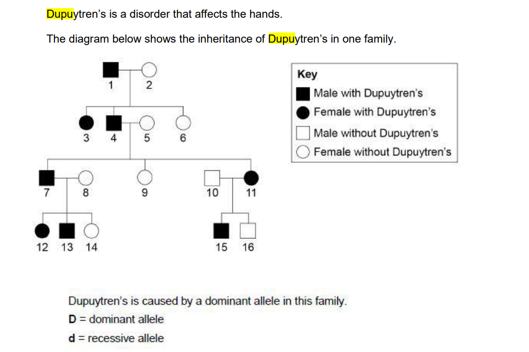 why is the genotype Dd