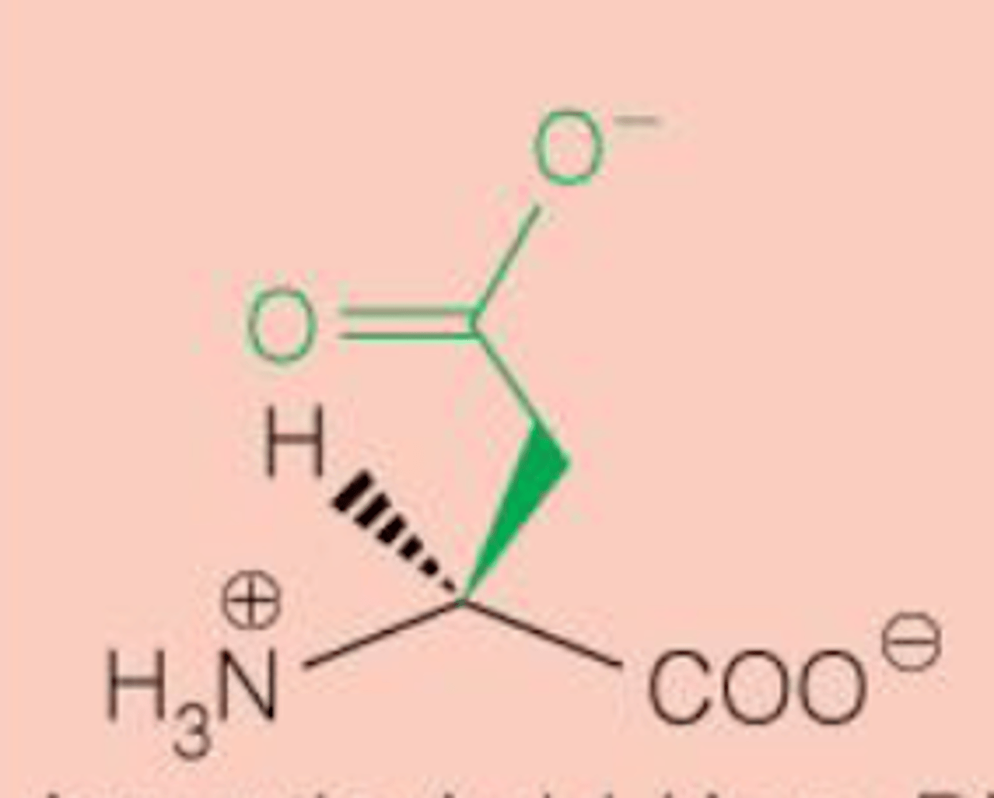 <p>Asp D pkr=3.9</p>
