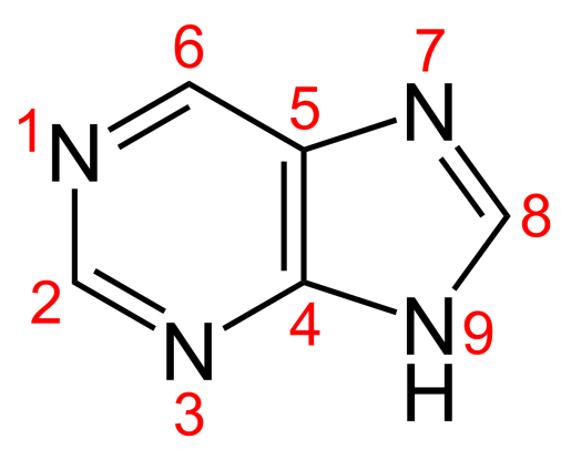 <p>heterociklinis aromatinis junginys, susidedantis iš pirimidino žiedo, konjuguoto su imidazolo žiedu.</p>