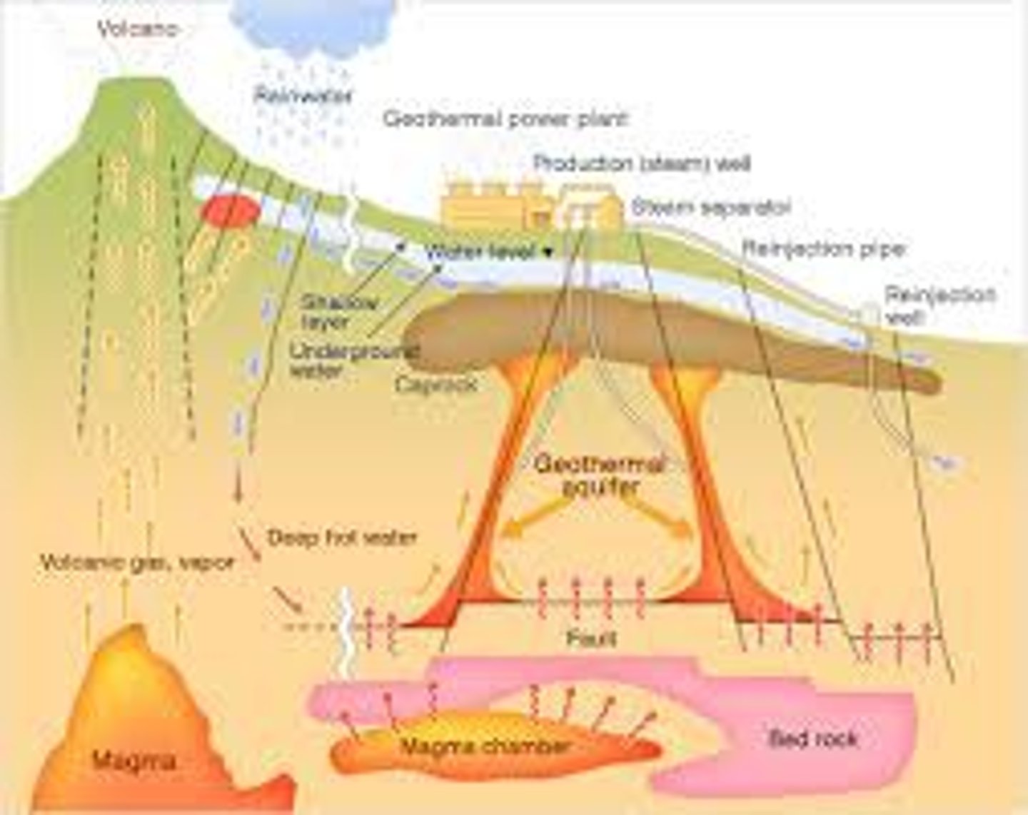 <p>Groundwater is heated by magma, up to 1000 degrees Celsius. Groundwater is under pressure so it doesn't boil and evaporate. Borehole is then sunk into the rocks, and the hot groundwater rushes up and turns into steam due to the reduction in pressure. This steam is then used to drive turbines or heat water to drive turbines. The condensed water is then pumped back into the ground.</p>