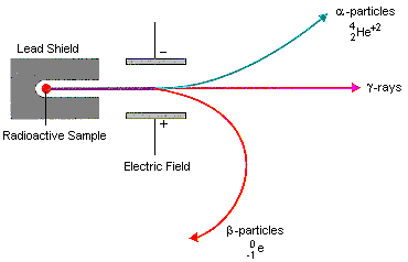 <ul><li><p>positive alpha particles are attracted to the negative plate</p></li><li><p>negative beta particles are attracted to the positive plate</p></li><li><p>neutral gamma particles didn’t move towards any plate</p></li></ul>