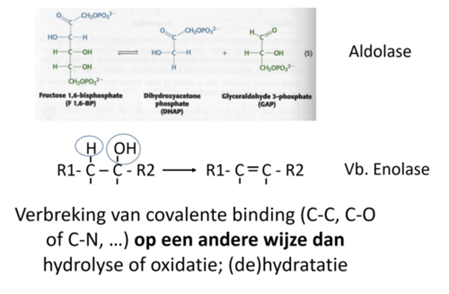 <p>verbreking van covalente binding op een andere wijze dan hydrolyse of oxidatie</p>