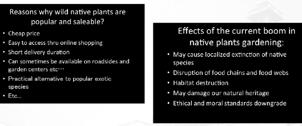 <p>buying of native plants during COVID-19</p>