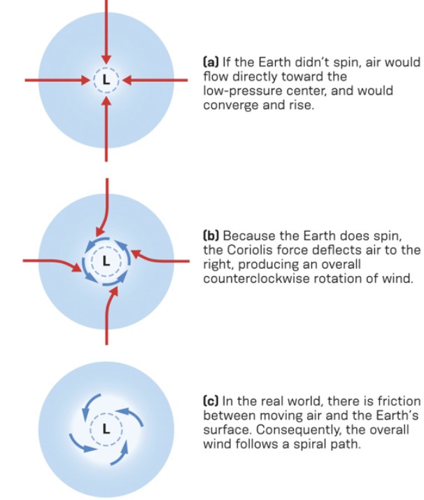 <ul><li><p>northern hemis low p</p></li><li><p>wind spirals from higher p into a low p, counterclockwise</p></li></ul>