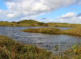 <p>What are some characteristics of a dune slack?</p>
