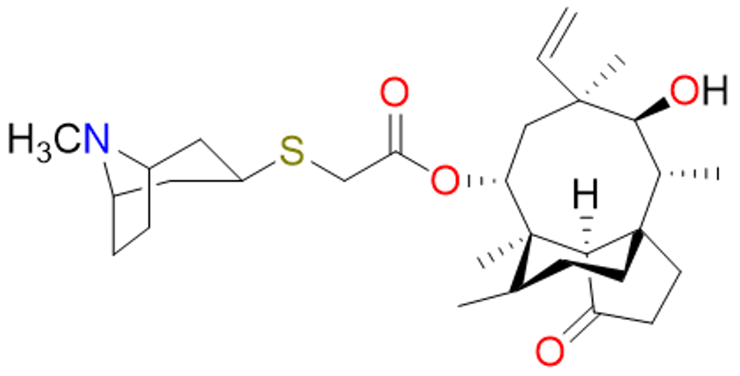 <p>belongs with protein synthesis inhibitors</p><p>- first antibiotic from the pleuromutilin class</p><p>- semi-synthetic derivative from a mushroom</p><p>- topical; effective against Gram-pos</p><p>- binds 50S subunit, inhibits protein synthesis</p><p>- low resistance profile</p>