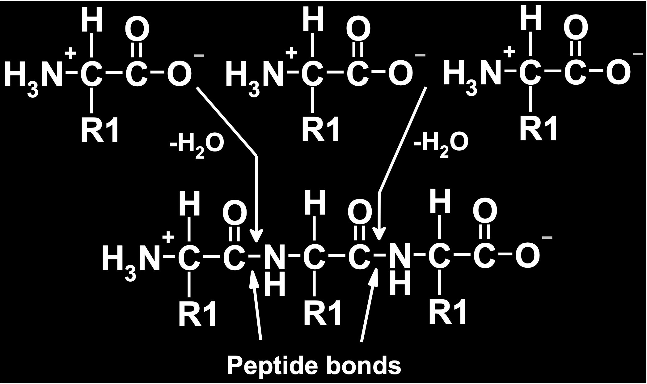 <p>What is being pointed to at the bottom?</p>