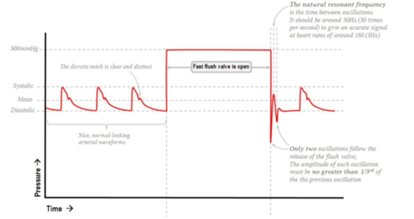 <p>2 oscillations only</p>