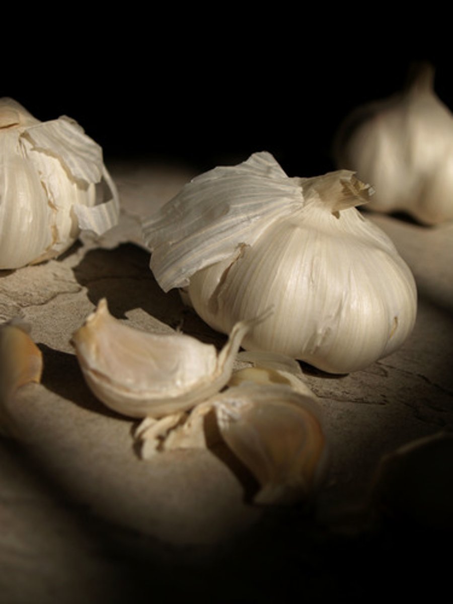 <p>garlic</p>