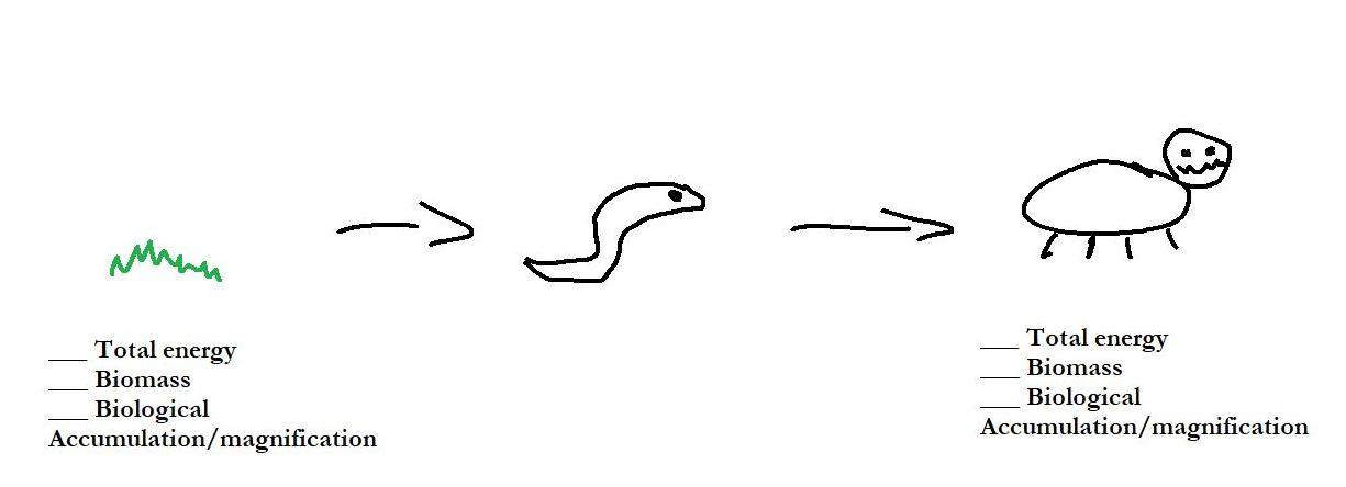 Complete the blank with + or - :