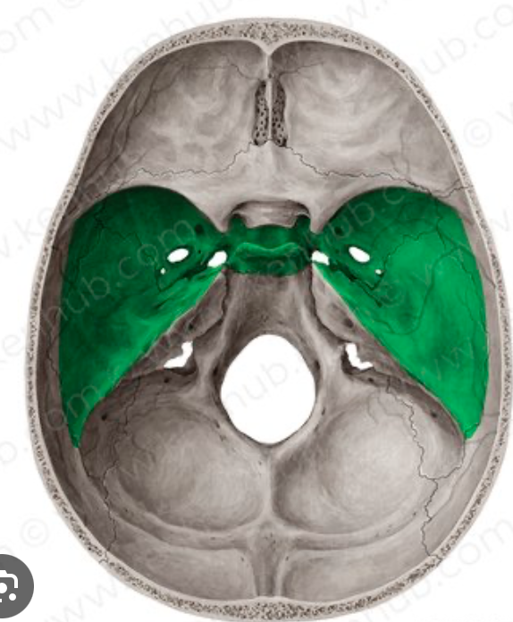 <p>what is this skull feature? </p>
