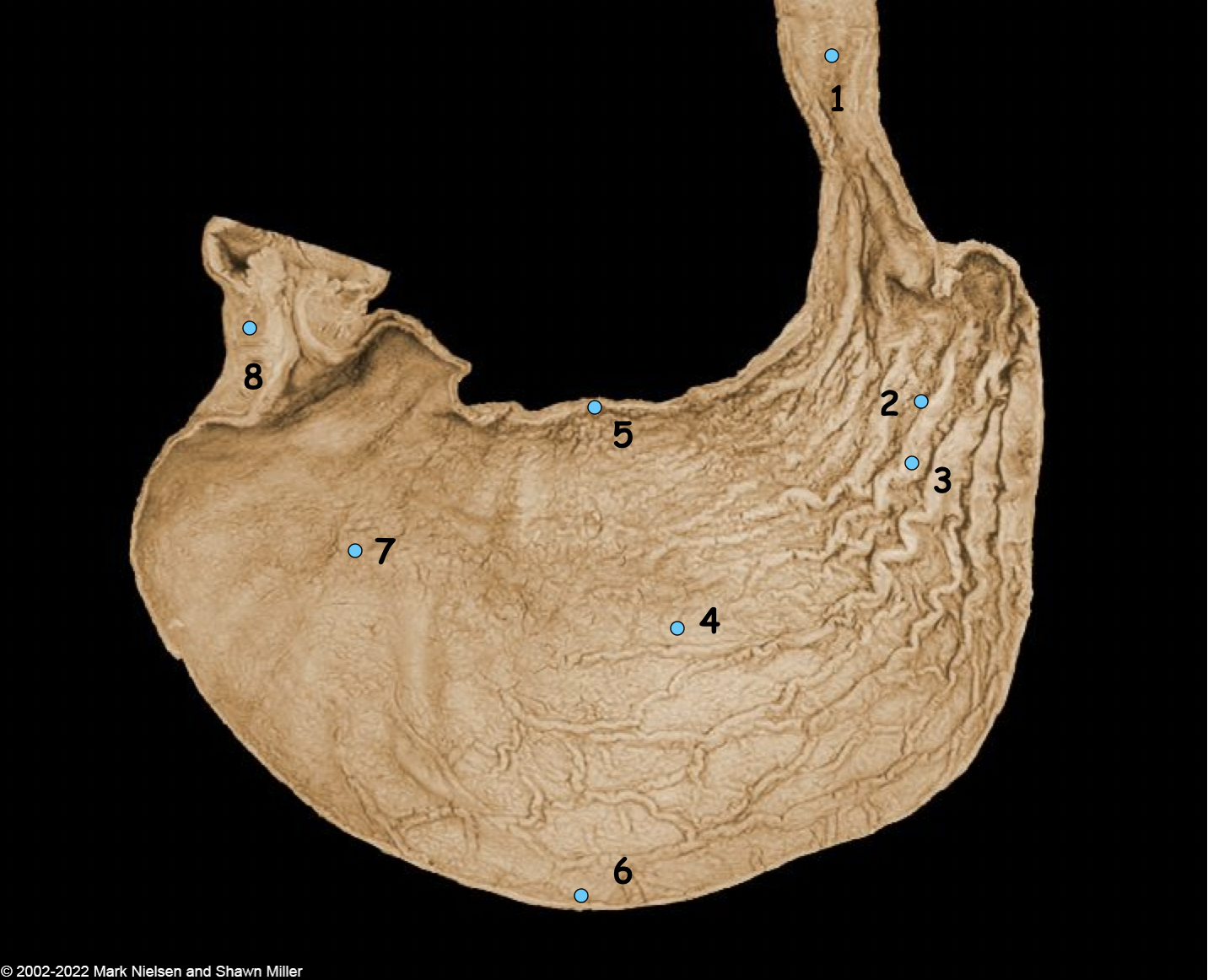 <p>What is number 7</p>