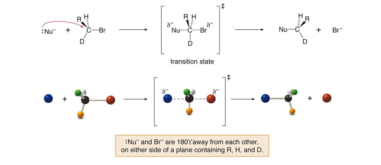<p>All SN2 reactions proceed with backside attack of the nucleophile, resulting in inversion of configuration at a stereogenic center.</p>