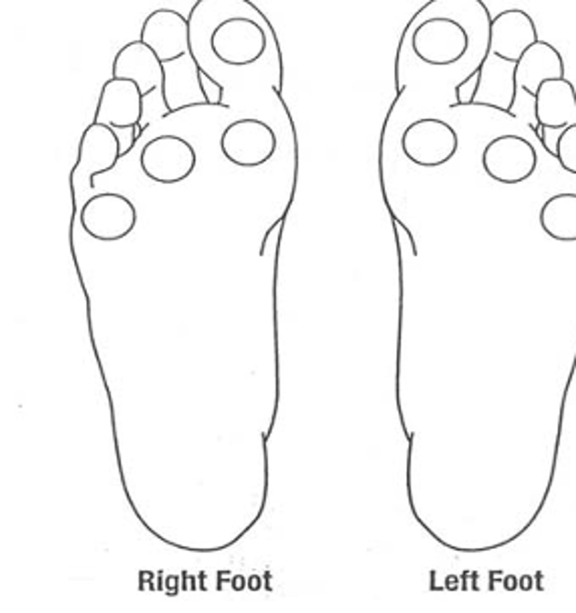 <p>describe the procedure to do monofilament testing</p>
