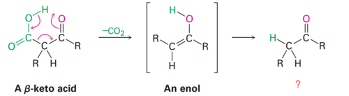 <p>What is the final product of an α-keto acid following decarboxylation?</p>