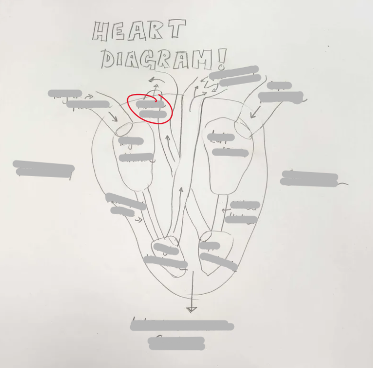 <p>What Structure is this? </p>