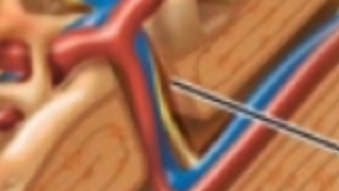 <p>Canals that run perpendicular to osteons and connect them.</p>