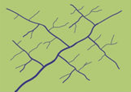 <p>Trellis</p>