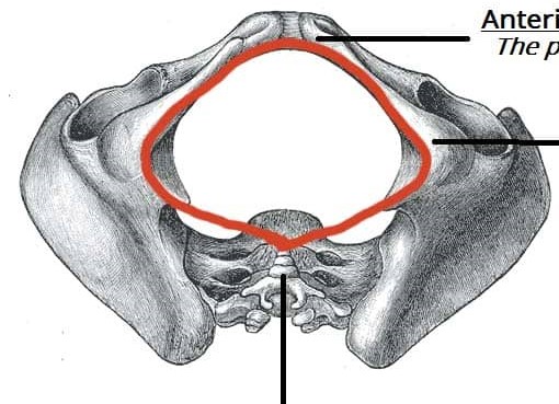 <p>What does the red circle represent?</p>